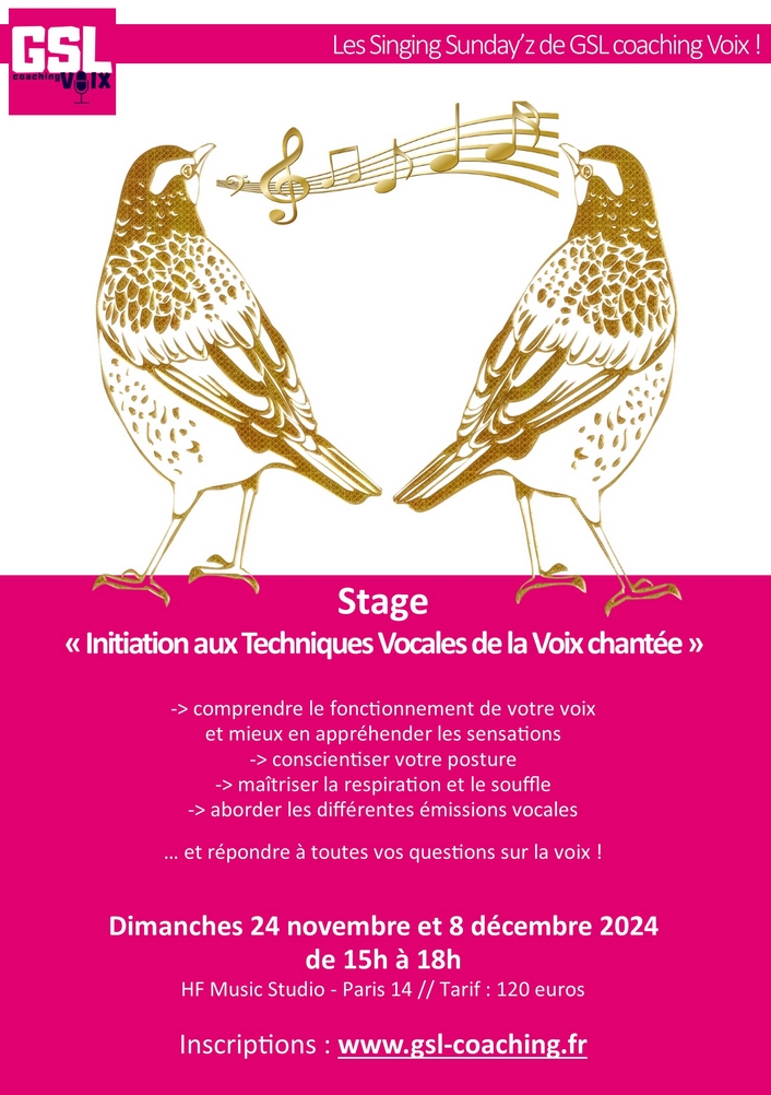 Stage Techniques Vocales - Novembre 2024